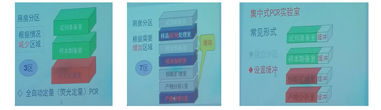 pcr分區